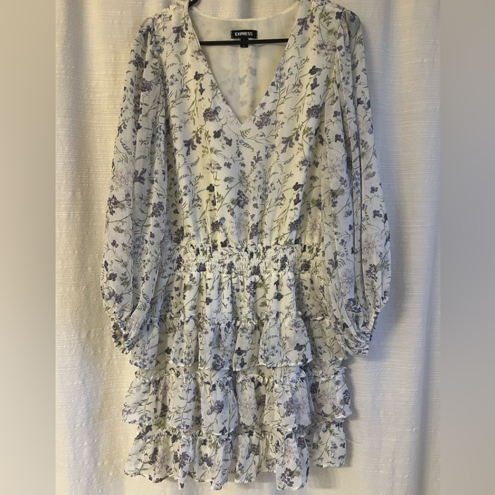 Express Long Sleeve Dress